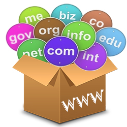What Is Domain Name