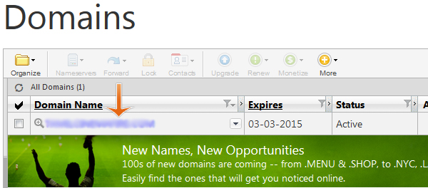 How to change nameserver in godaddy - Step 3