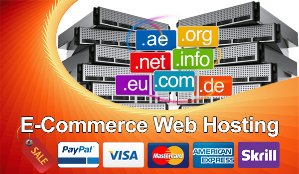Ecommerce Web Hosting
